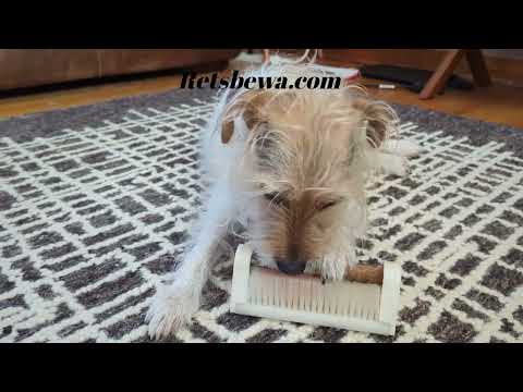Retsbewa - The Toothbrush for Dogs