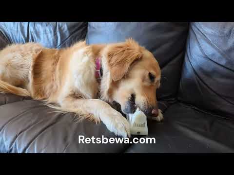 Retsbewa - The Toothbrush for Dogs